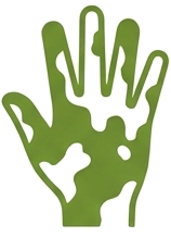 Home- vitiligo- manahomeo.com