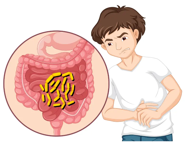 Gastrointestinal Disorders- tyuk- manahomeo.com