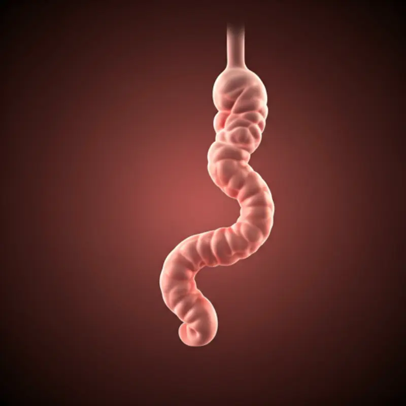 Gastrointestinal Disorders- unnamed- manahomeo.com